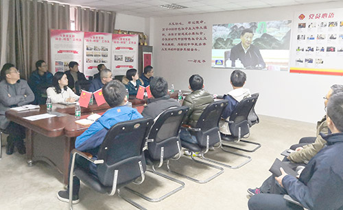 CA888公司党支部开展”深入学习贯彻习近平总书记视察江苏主要讲话指示精神”主题党日活动